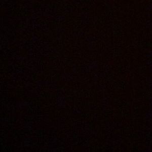 Meet your Posher, Ella